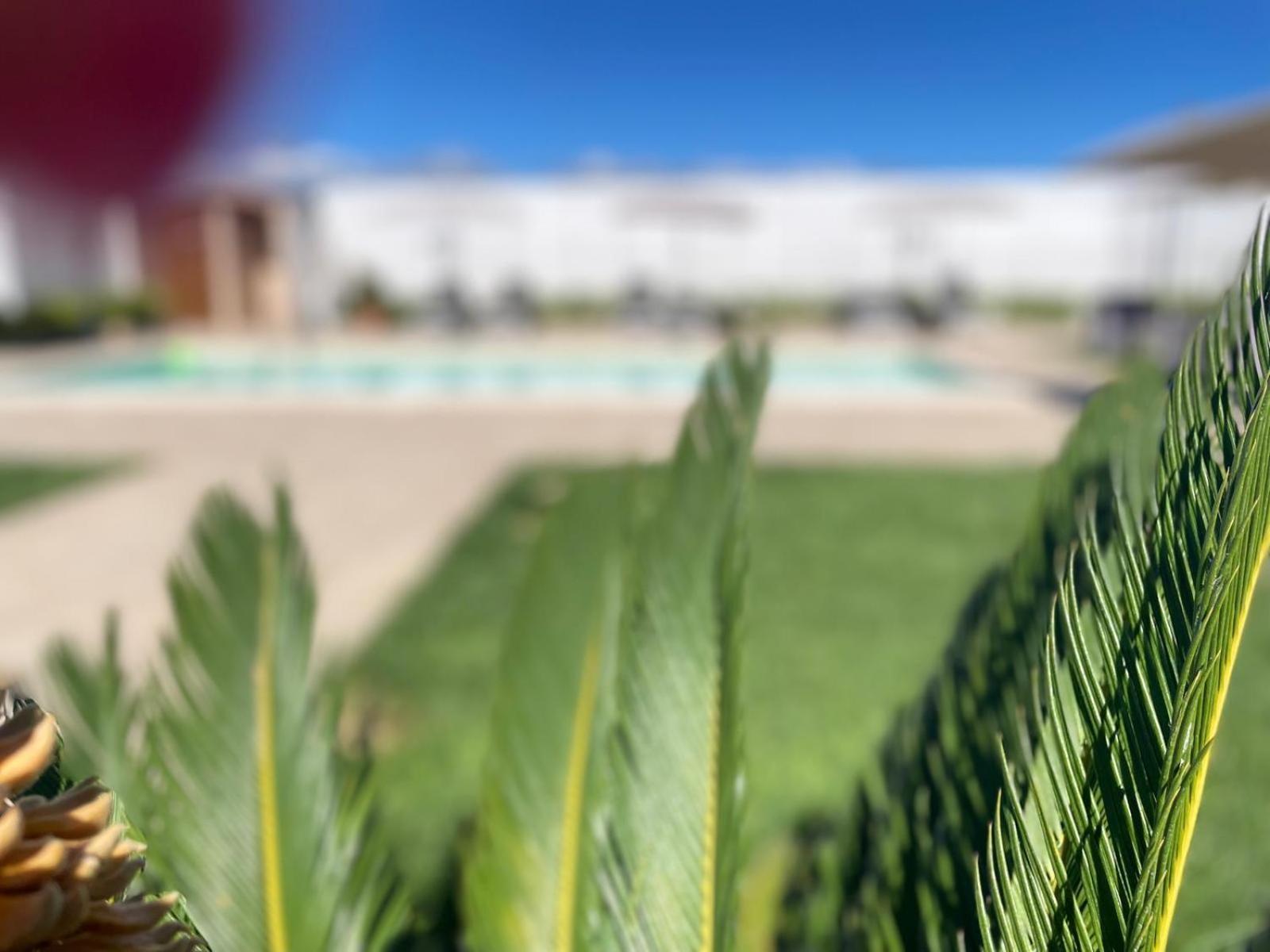 Agriturismo Albachiara Bisignano エクステリア 写真